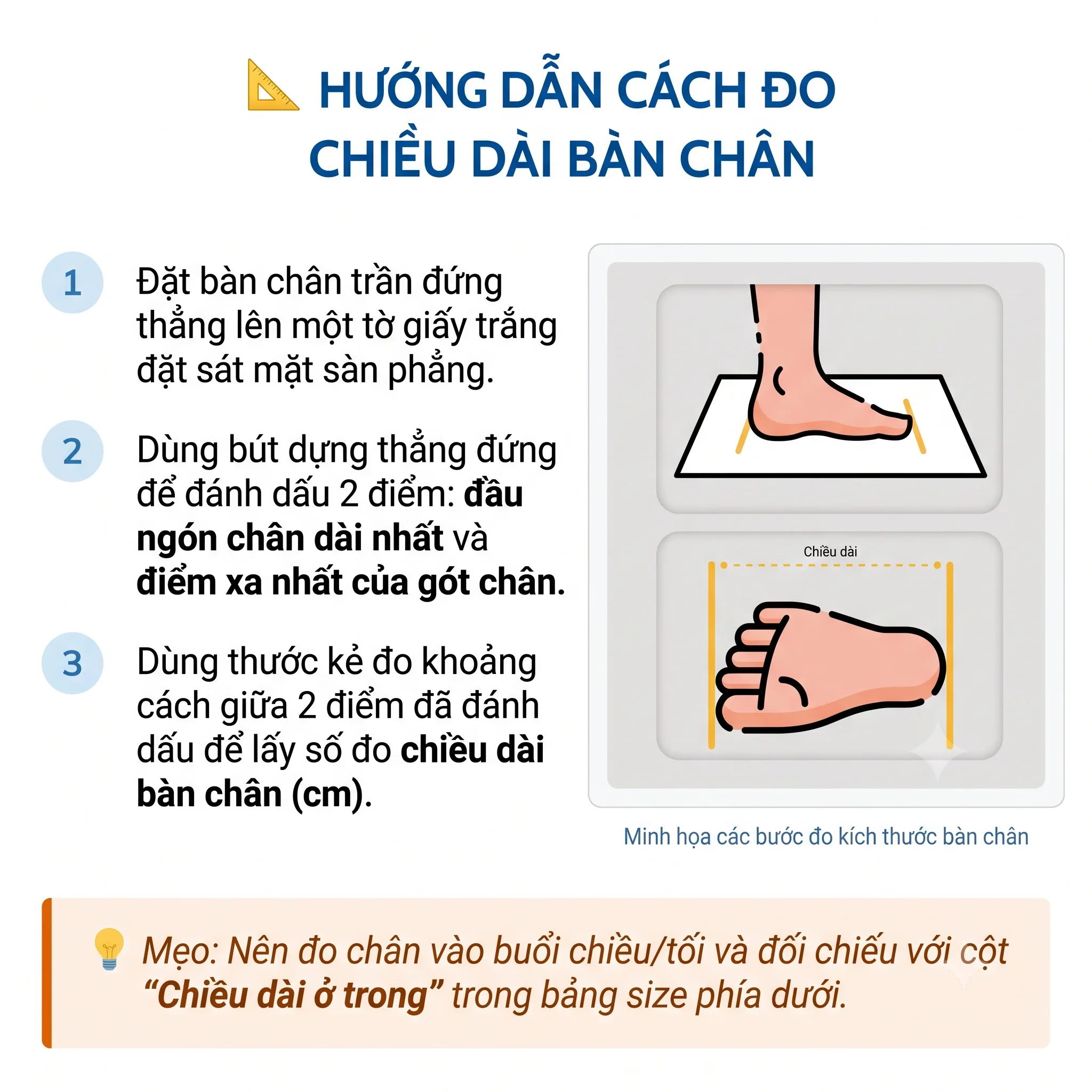 cach-do-size-chan-vit-trong-suot